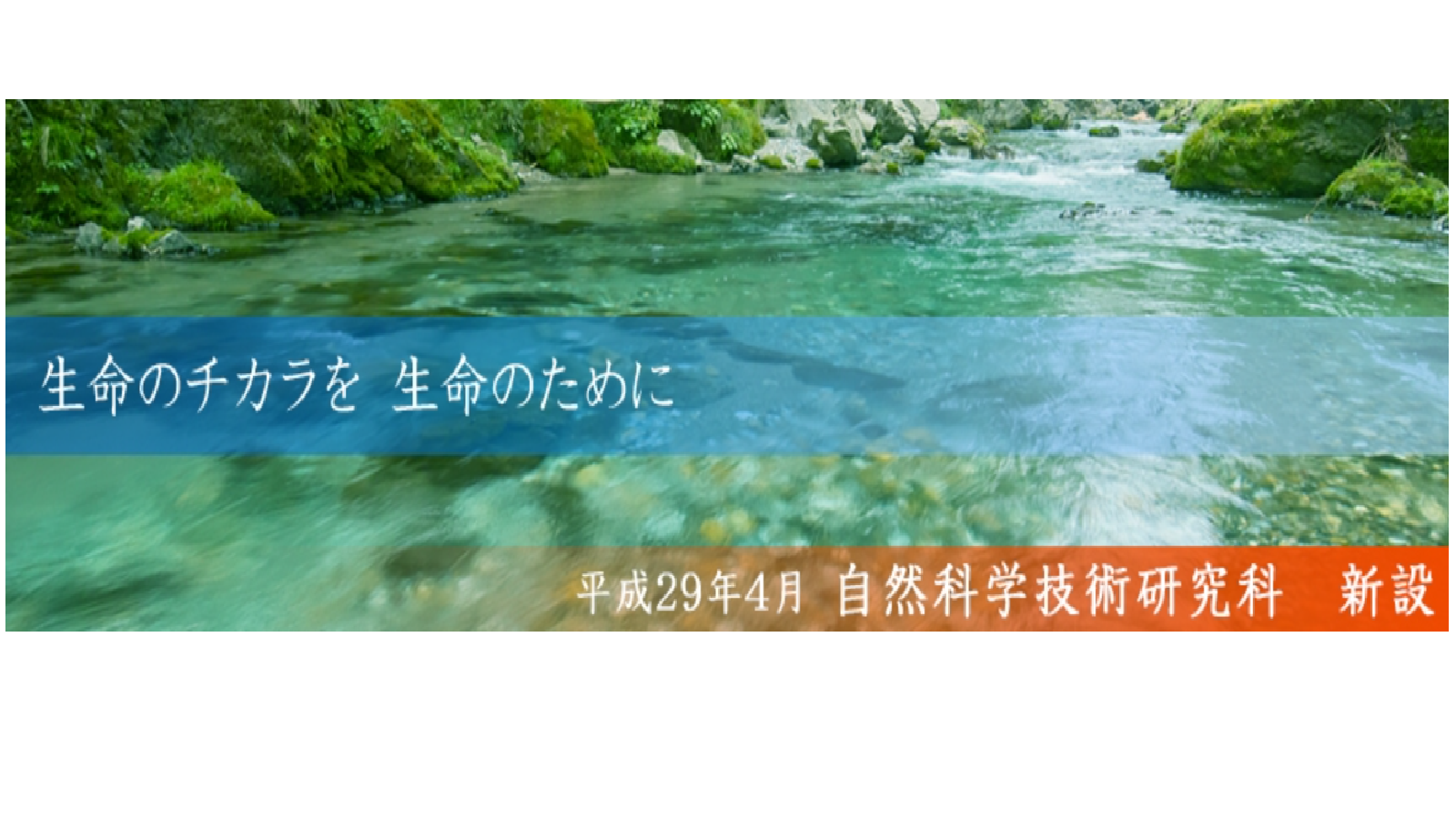 岐阜大学の評判 口コミ 応用生物科学部編 岐阜大の先輩が語る