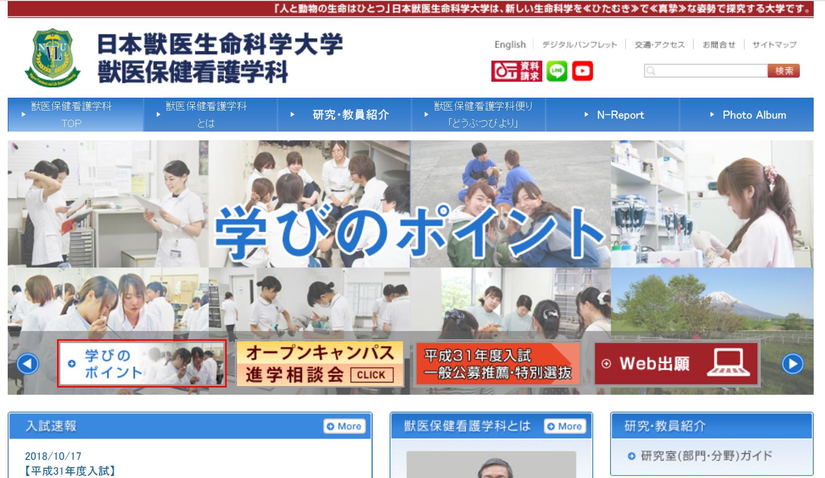 日本獣医生命科学大学の評判 口コミ 獣医保健看護学科編 日獣n科の先輩が語る