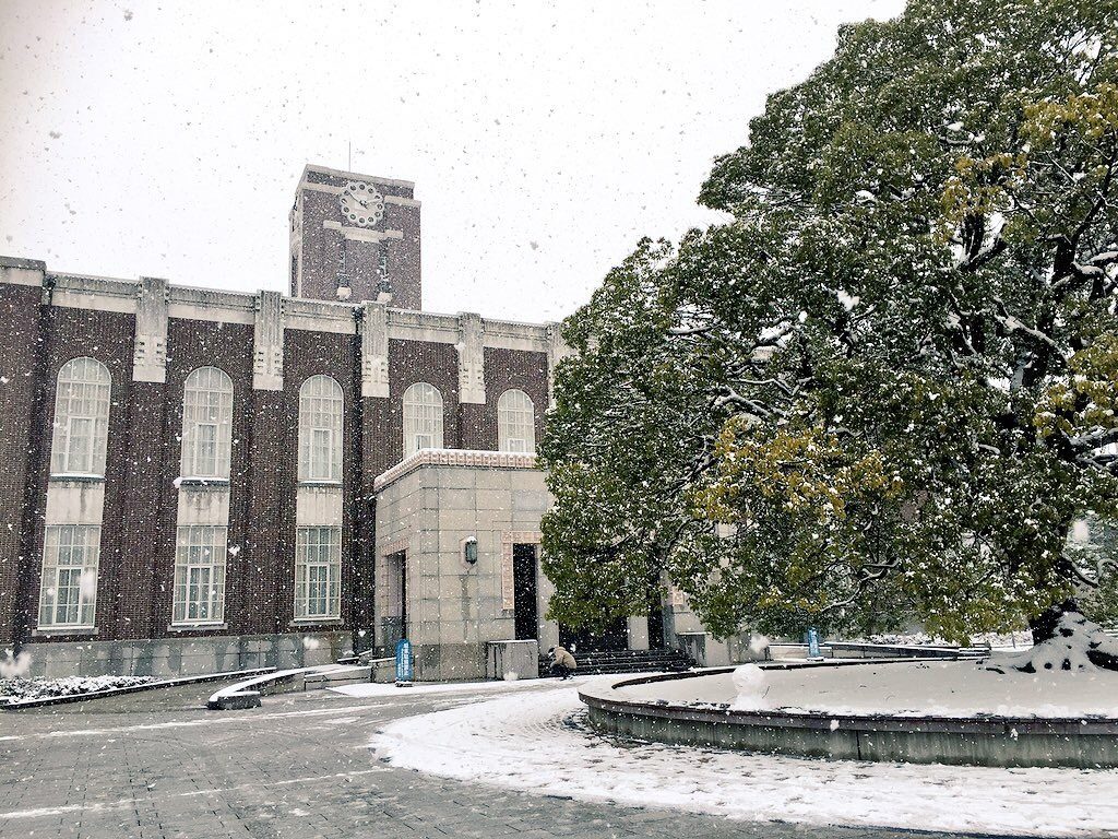 国立大学と私立大学の違いって 学費や就職などで比較 大学スクールナビ